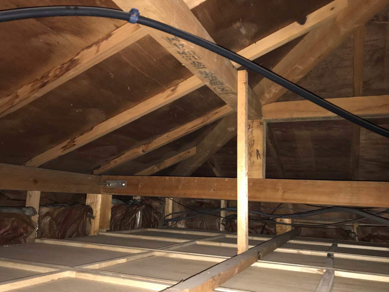 屋根裏の点検で被害を早期発見！起こり得る4つの被害と症状